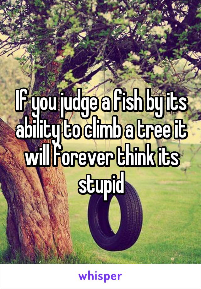 If you judge a fish by its ability to climb a tree it will forever think its stupid