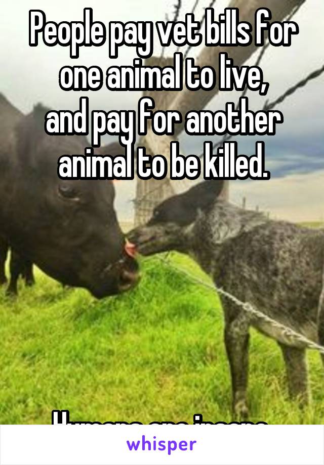 People pay vet bills for one animal to live,
and pay for another animal to be killed.





Humans are insane.