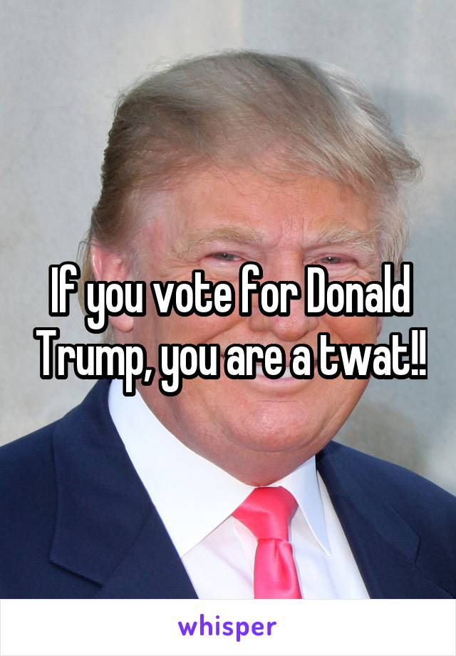 If you vote for Donald Trump, you are a twat!!