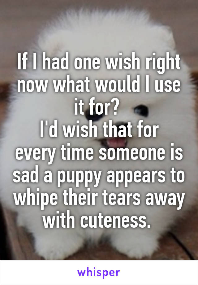 If I had one wish right now what would I use it for? 
I'd wish that for every time someone is sad a puppy appears to whipe their tears away with cuteness. 