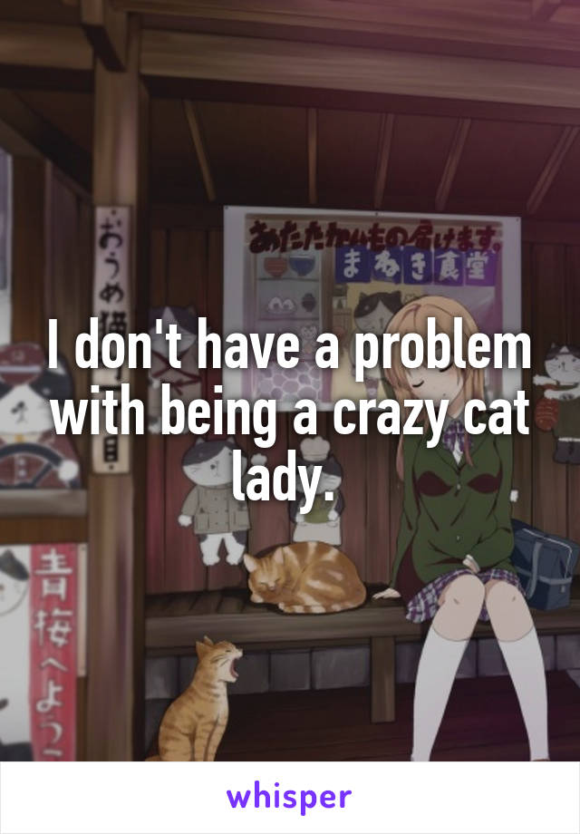 I don't have a problem with being a crazy cat lady. 