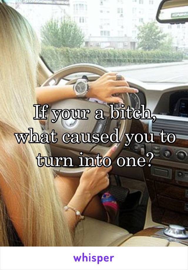 If your a bitch, what caused you to turn into one?