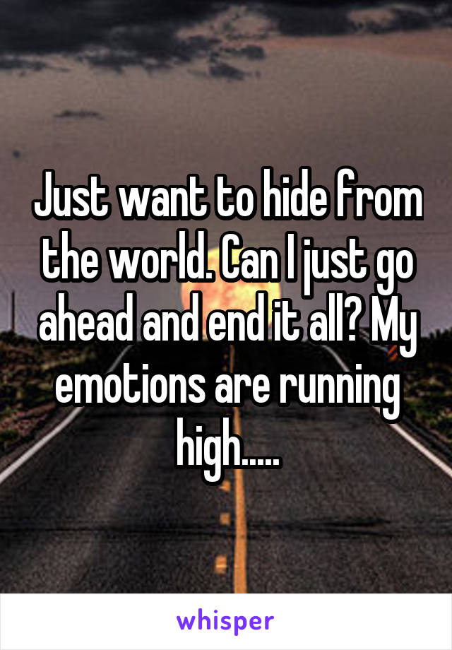 Just want to hide from the world. Can I just go ahead and end it all? My emotions are running high.....