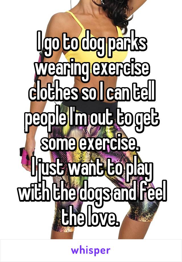 I go to dog parks wearing exercise clothes so I can tell people I'm out to get some exercise. 
I just want to play with the dogs and feel the love. 