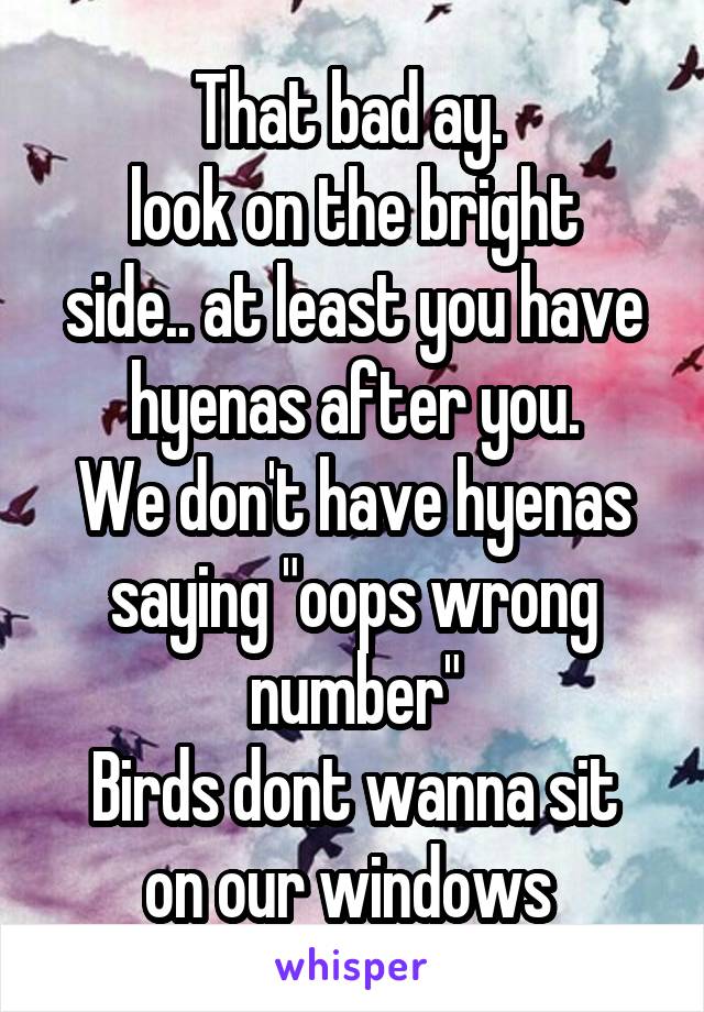 That bad ay. 
look on the bright side.. at least you have hyenas after you.
We don't have hyenas saying "oops wrong number"
Birds dont wanna sit on our windows 