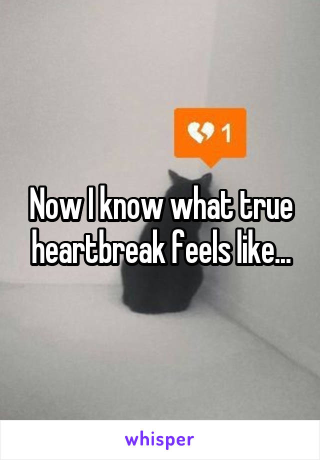 Now I know what true heartbreak feels like...