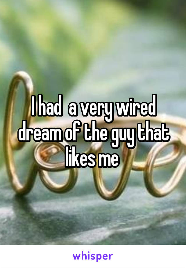 I had  a very wired dream of the guy that likes me 