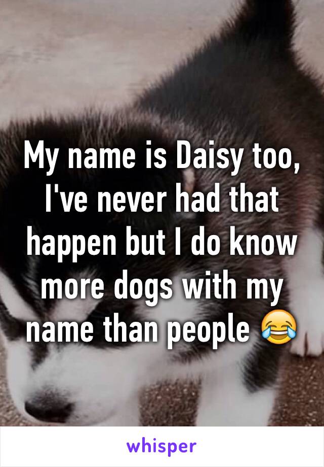 My name is Daisy too, I've never had that happen but I do know more dogs with my name than people 😂