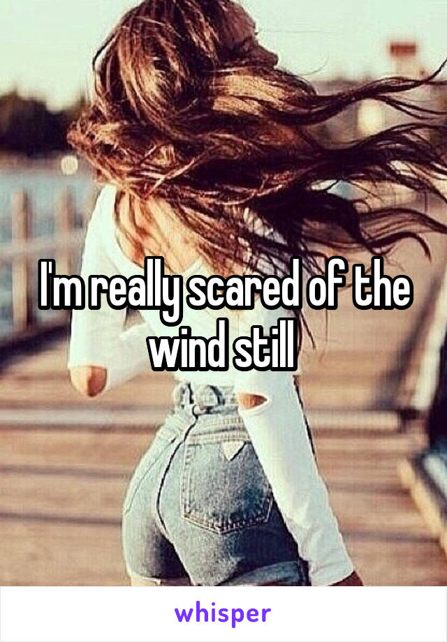 I'm really scared of the wind still 
