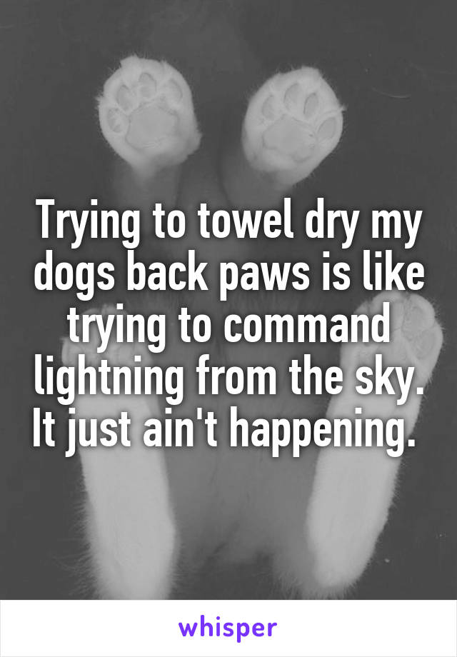 Trying to towel dry my dogs back paws is like trying to command lightning from the sky. It just ain't happening. 