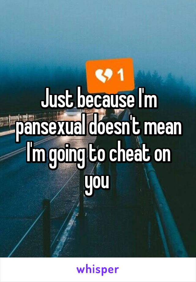 Just because I'm pansexual doesn't mean I'm going to cheat on you 