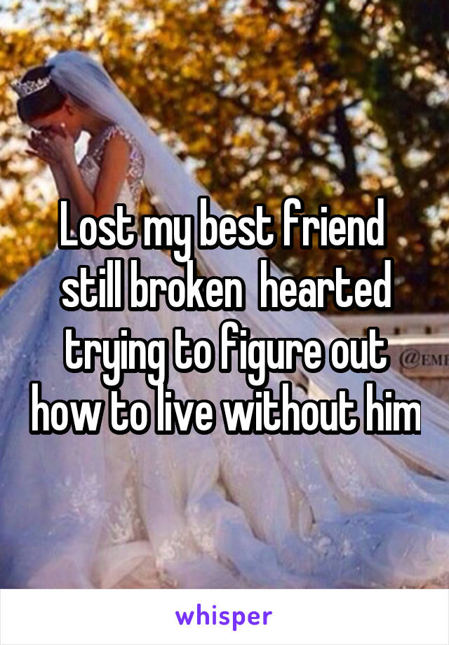 Lost my best friend  still broken  hearted trying to figure out how to live without him