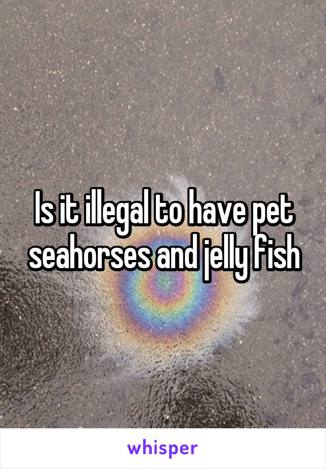 Is it illegal to have pet seahorses and jelly fish