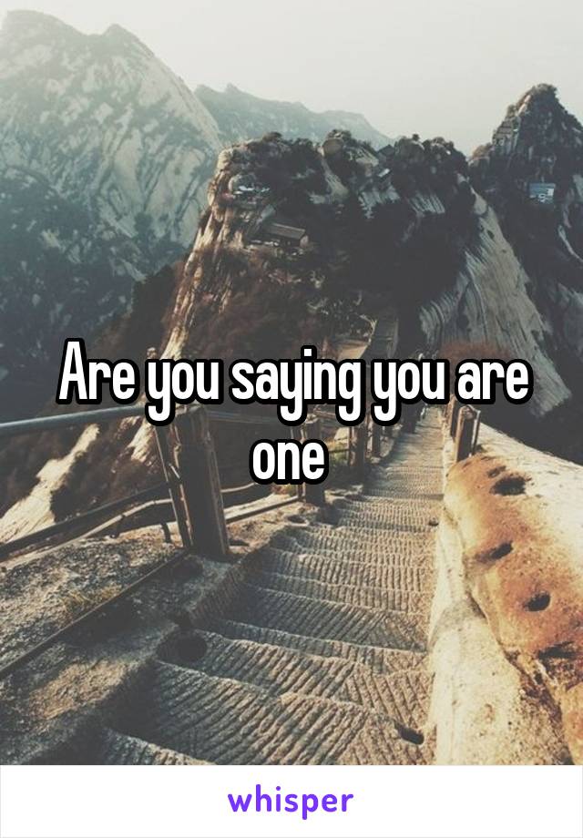 Are you saying you are one 