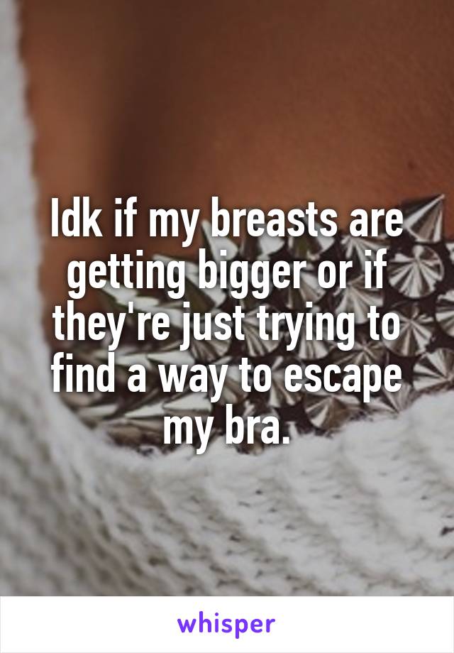 Idk if my breasts are getting bigger or if they're just trying to find a way to escape my bra.