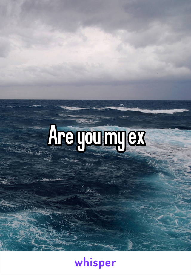 Are you my ex