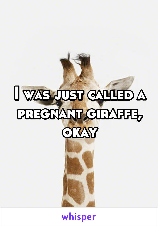 I was just called a pregnant giraffe, okay