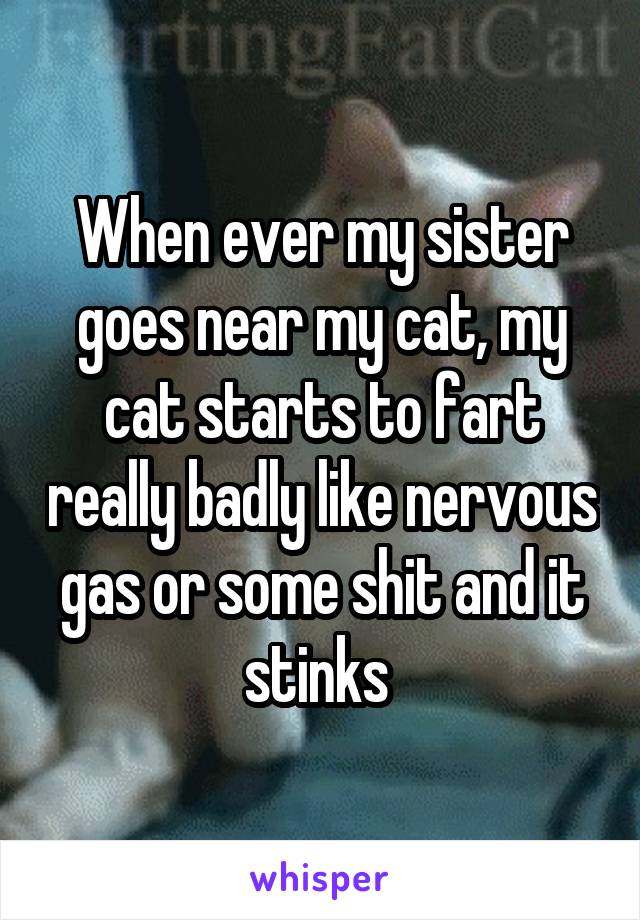 When ever my sister goes near my cat, my cat starts to fart really badly like nervous gas or some shit and it stinks 