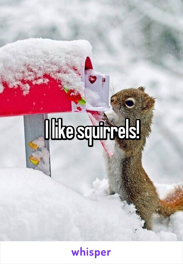 I like squirrels!