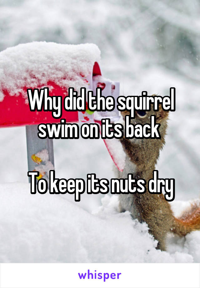 Why did the squirrel swim on its back 

To keep its nuts dry