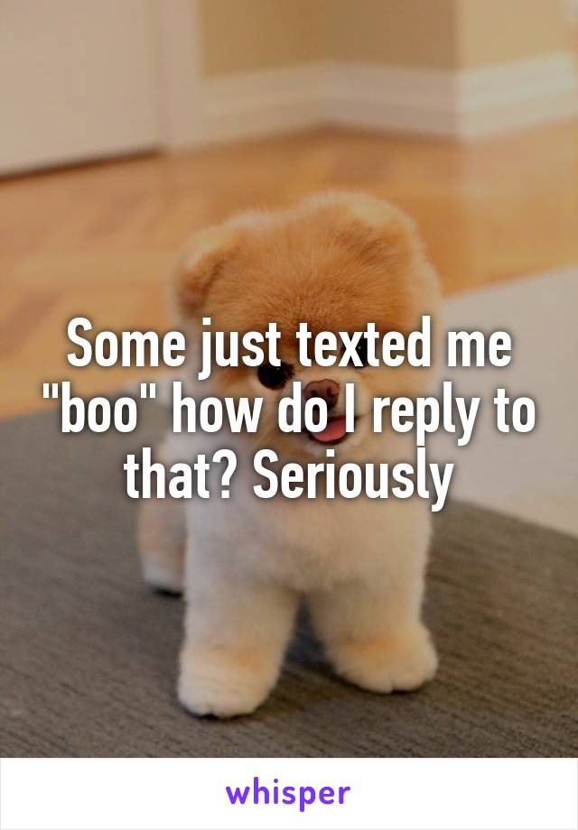 Some just texted me "boo" how do I reply to that? Seriously