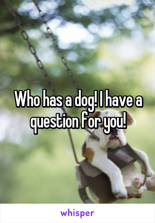 Who has a dog! I have a question for you!