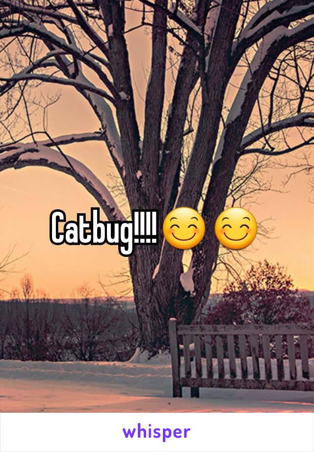 Catbug!!!!😊😊