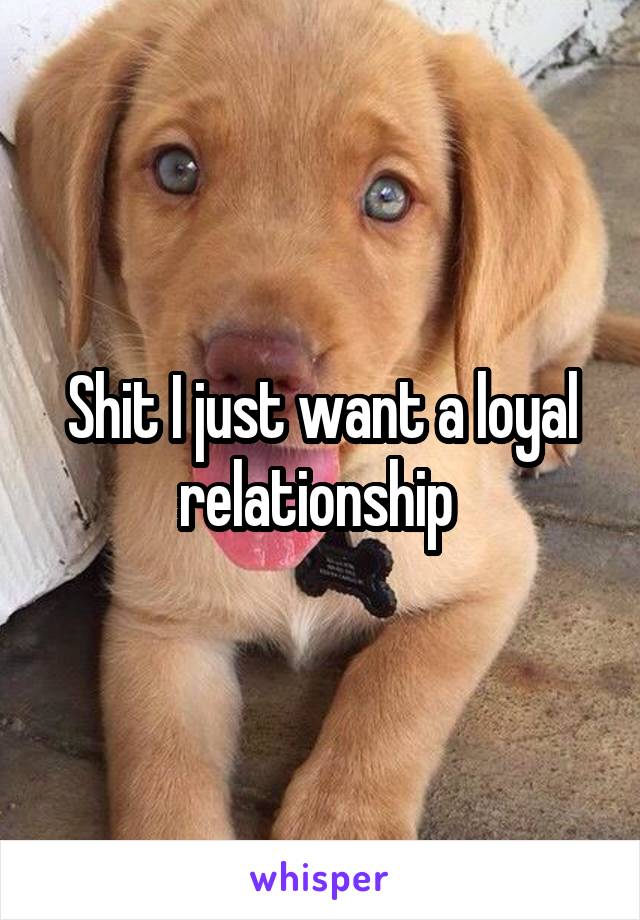 Shit I just want a loyal relationship 