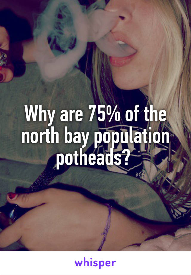 Why are 75% of the north bay population potheads? 