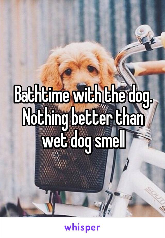Bathtime with the dog. Nothing better than wet dog smell