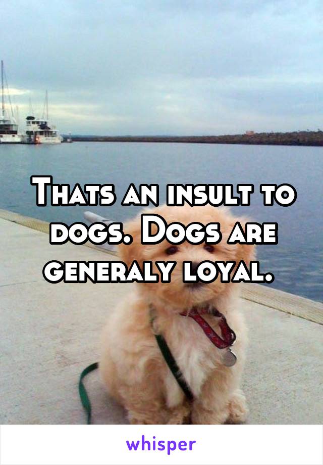 Thats an insult to dogs. Dogs are generaly loyal. 