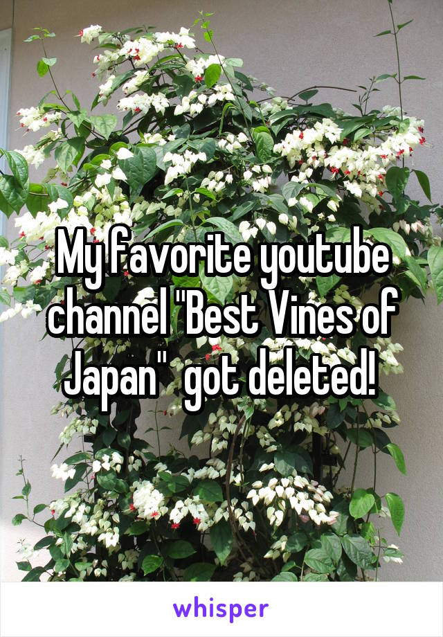 My favorite youtube channel "Best Vines of Japan"  got deleted! 