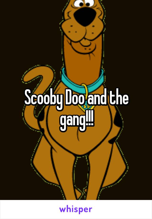 Scooby Doo and the gang!!!