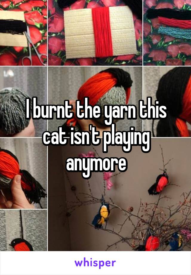 I burnt the yarn this cat isn't playing anymore