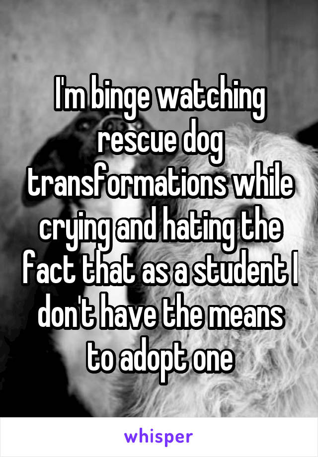 I'm binge watching rescue dog transformations while crying and hating the fact that as a student I don't have the means to adopt one