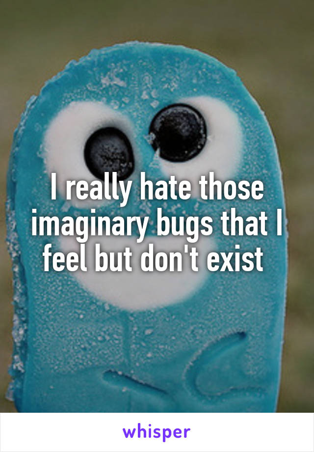 I really hate those imaginary bugs that I feel but don't exist 