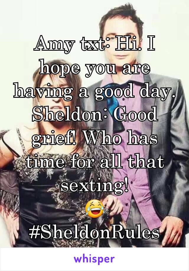 Amy txt: Hi. I hope you are having a good day.
Sheldon: Good grief! Who has time for all that sexting!
😂
#SheldonRules