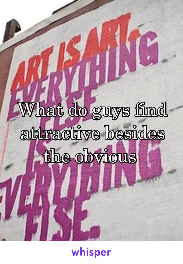 What do guys find attractive besides the obvious 