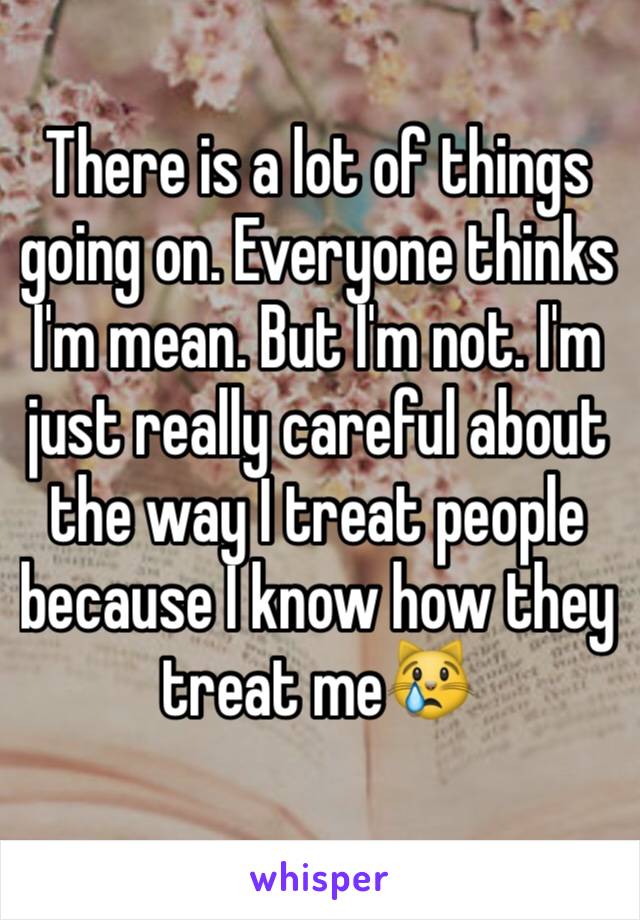 There is a lot of things going on. Everyone thinks I'm mean. But I'm not. I'm just really careful about the way I treat people because I know how they treat me😿