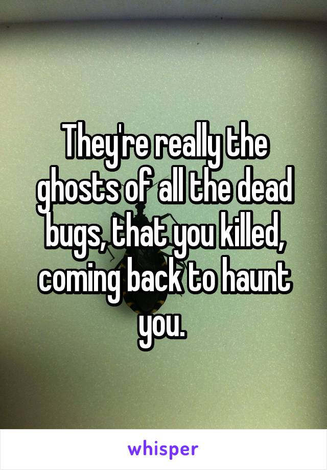 They're really the ghosts of all the dead bugs, that you killed, coming back to haunt you. 