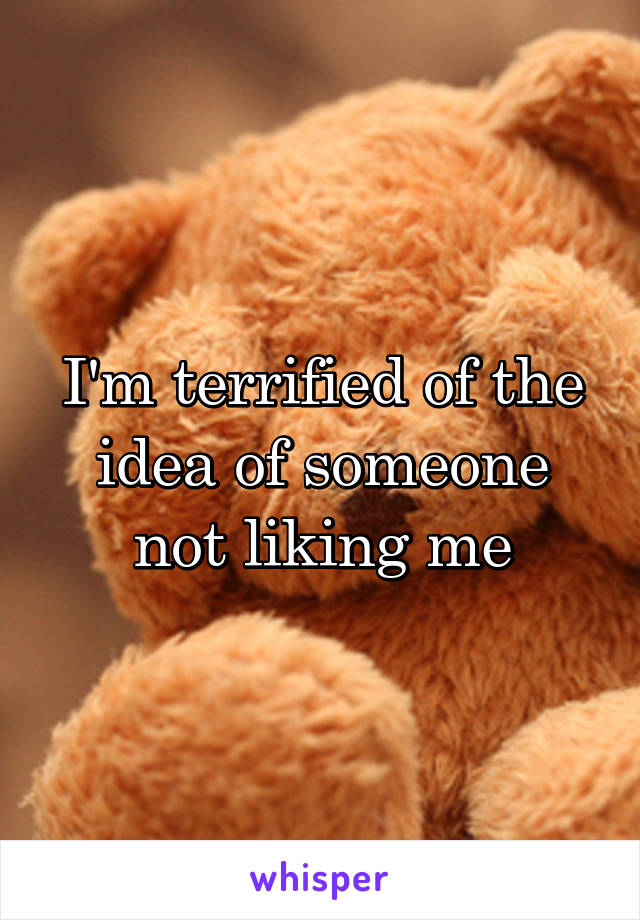 I'm terrified of the idea of someone not liking me
