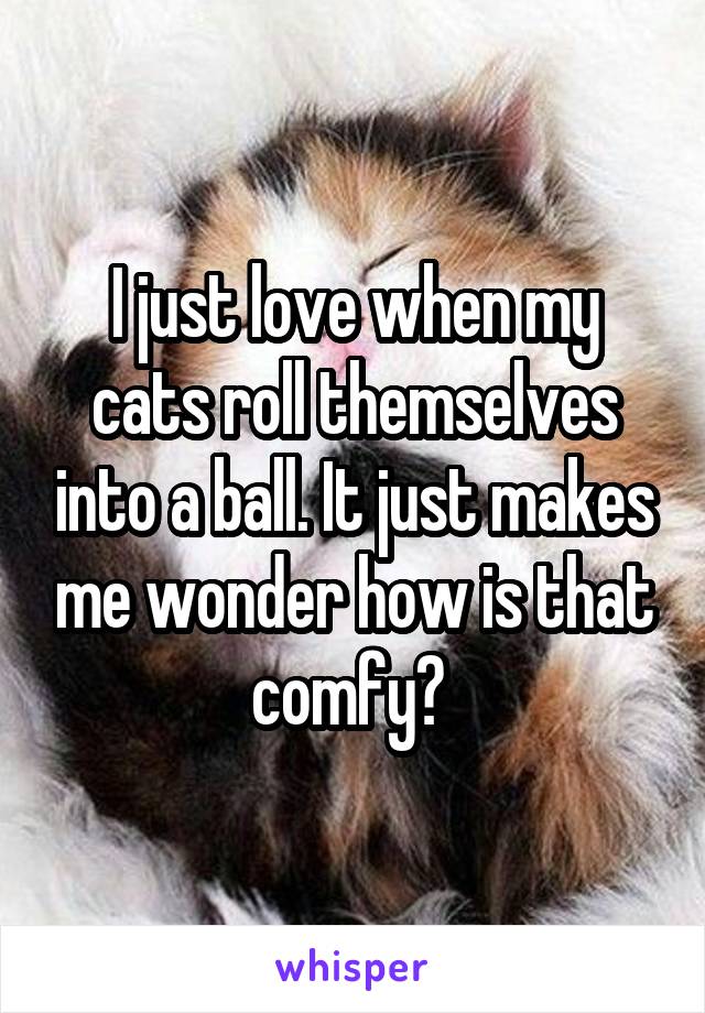 I just love when my cats roll themselves into a ball. It just makes me wonder how is that comfy? 