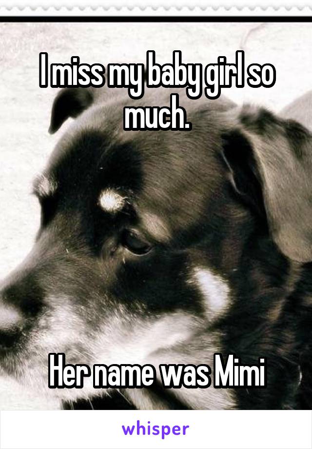 I miss my baby girl so much.





Her name was Mimi