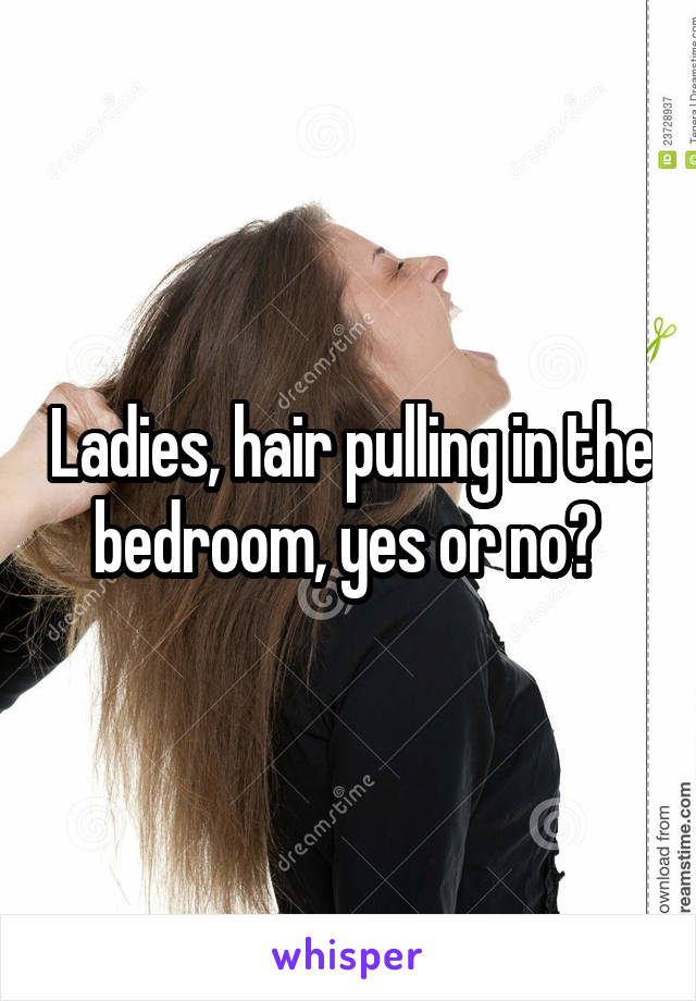 Ladies, hair pulling in the bedroom, yes or no? 