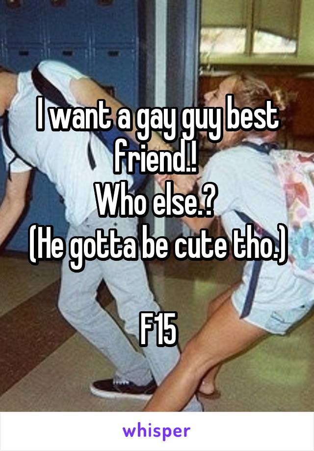 I want a gay guy best friend.! 
Who else.? 
(He gotta be cute tho.)

F15