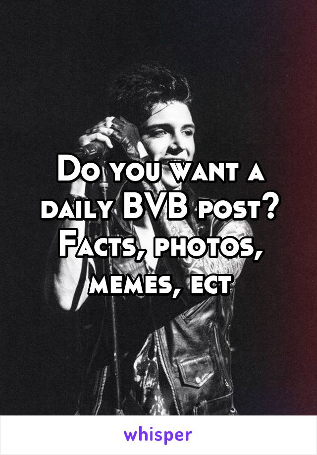 Do you want a daily BVB post? Facts, photos, memes, ect