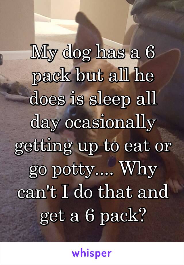 My dog has a 6 pack but all he does is sleep all day ocasionally getting up to eat or go potty.... Why can't I do that and get a 6 pack?