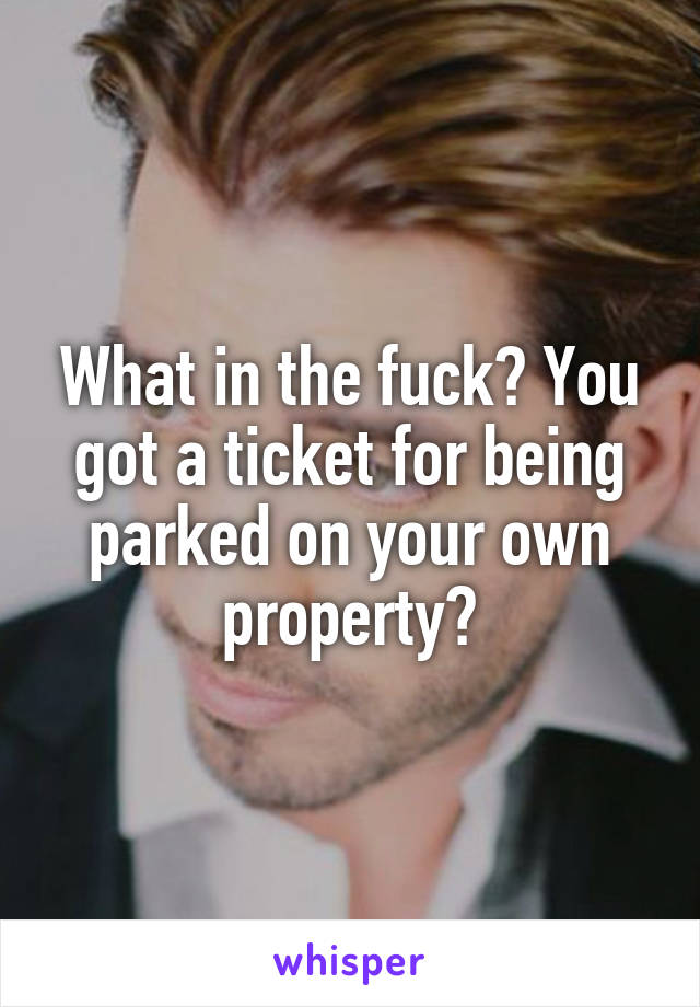 What in the fuck? You got a ticket for being parked on your own property?