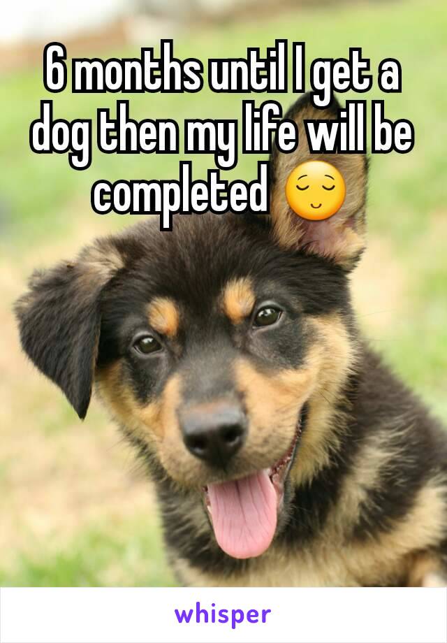 6 months until I get a dog then my life will be completed 😌