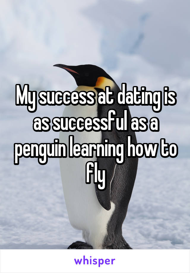 My success at dating is as successful as a penguin learning how to fly